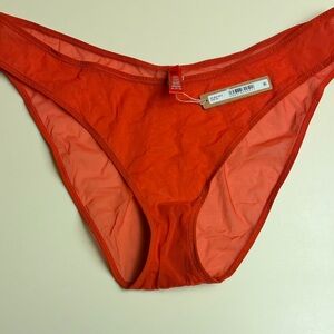 SKIMS Cheeky Bikini Panties 3X